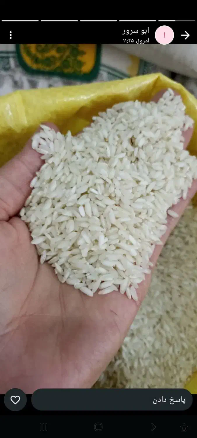 برنج عنبر|خوردنی و آشامیدنی|اهواز, فاز ۲ پادادشهر|دیوار