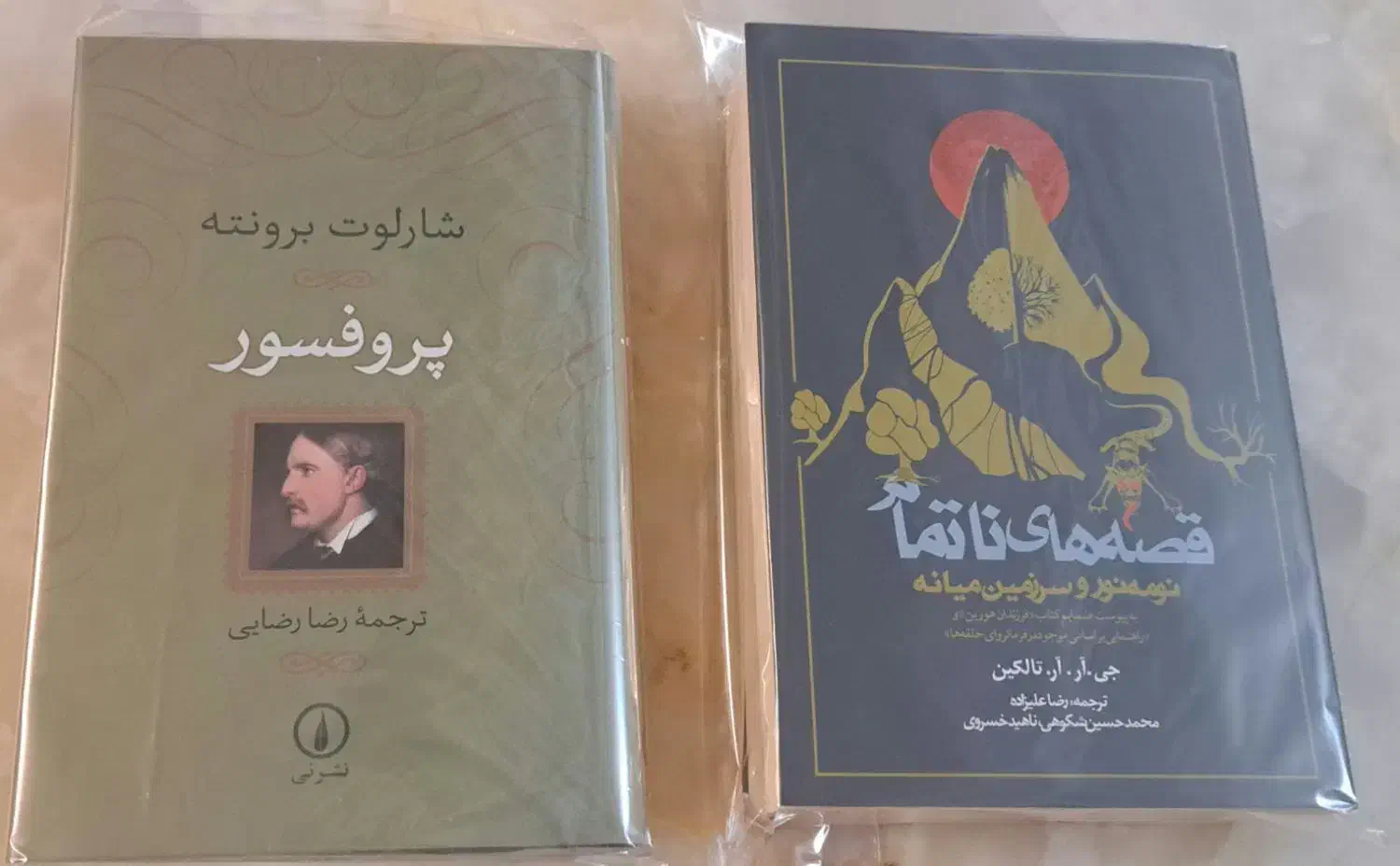 کتاب پروفسور و قصه های ناتمام|کتاب و مجله ادبی|ارومیه, |دیوار