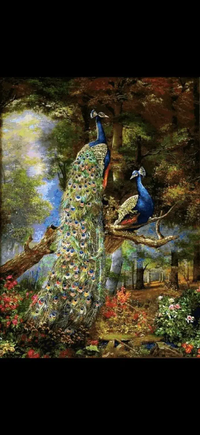 فروش تابلو فرش دستباف مصالح مرینوس|تابلو فرش|اردبیل, |دیوار