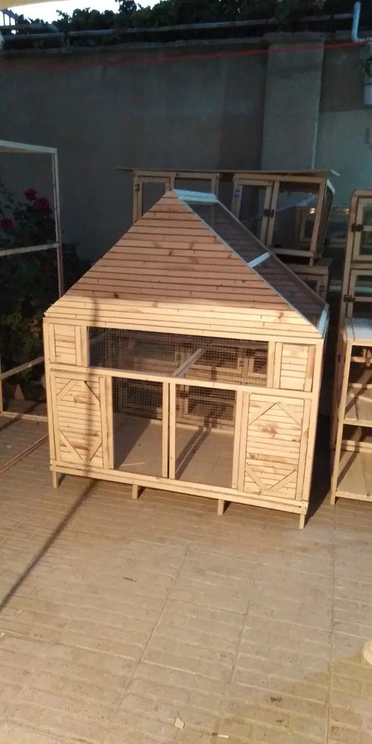 ساخت قفس چوبی|لوازم جانبی حیوانات|کرمانشاه, |دیوار