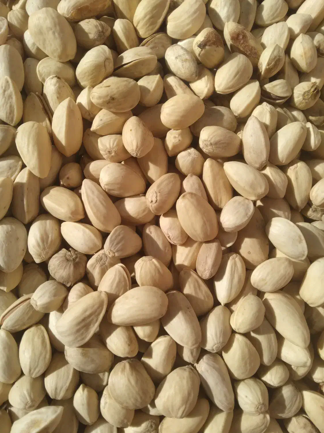 پسته دهن بستاحمد اقایی|خوردنی و آشامیدنی|جوادآباد, |دیوار