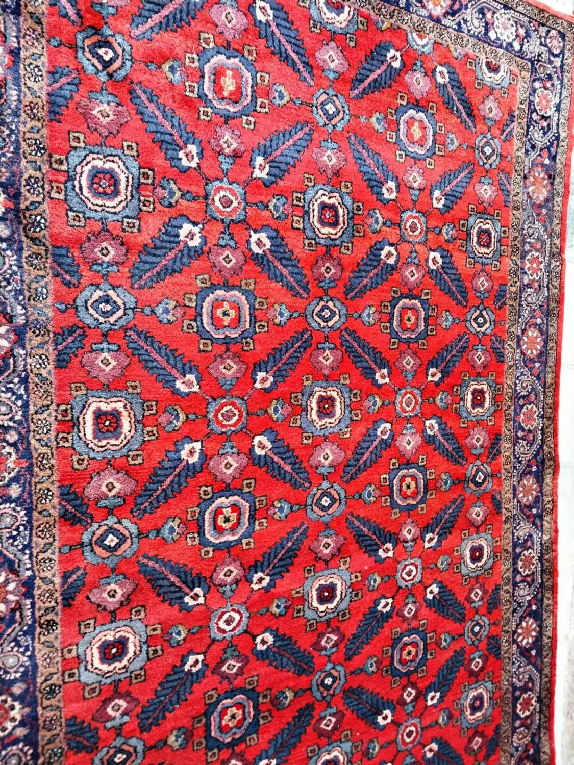 فرش دستباف طرح سیخ کباب|فرش|سنقر, |دیوار