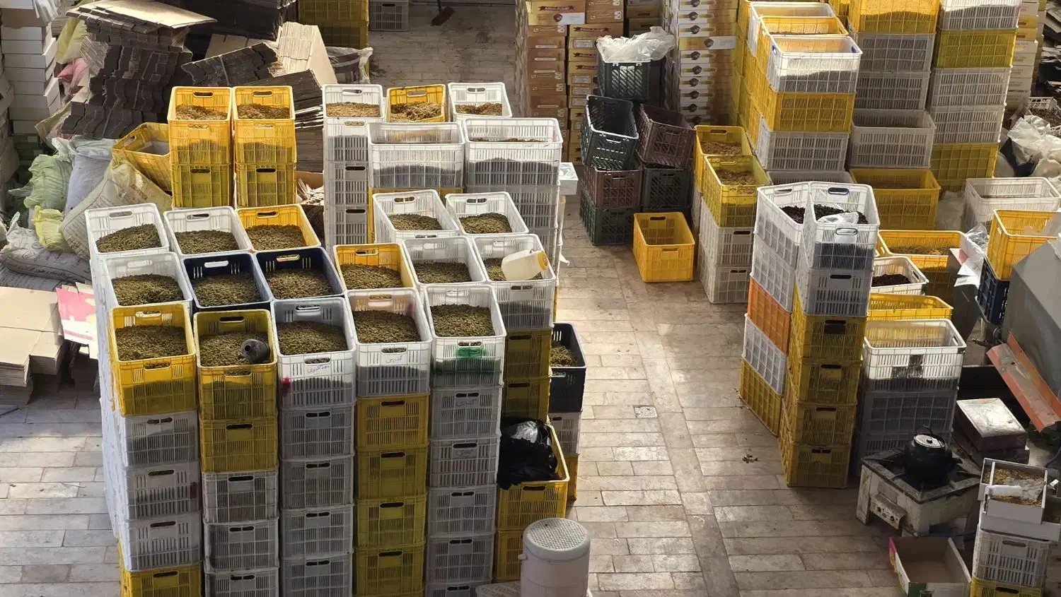 خشکبار انواع کشمش|عمدهفروشی|خلیل آباد, |دیوار