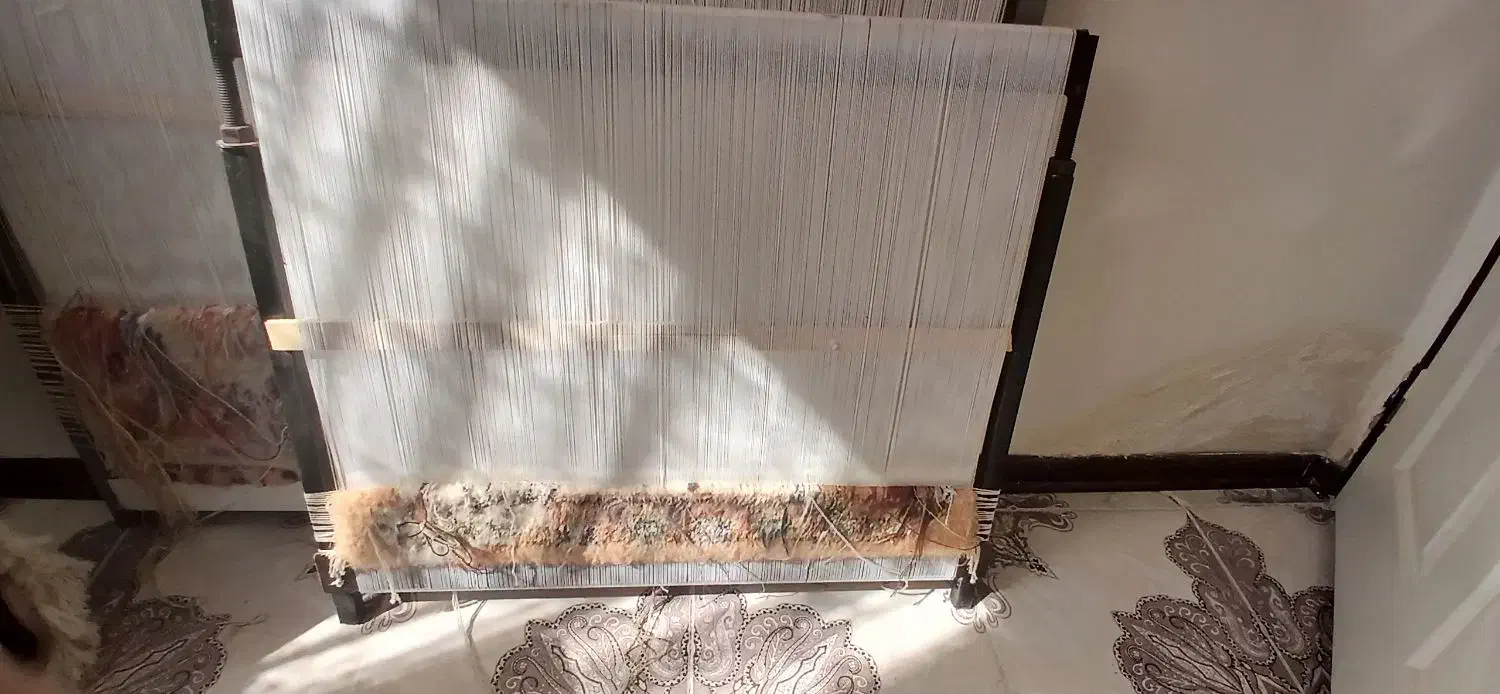 دوعدد فرش زرنیم و آیه|فرش|سهند, |دیوار