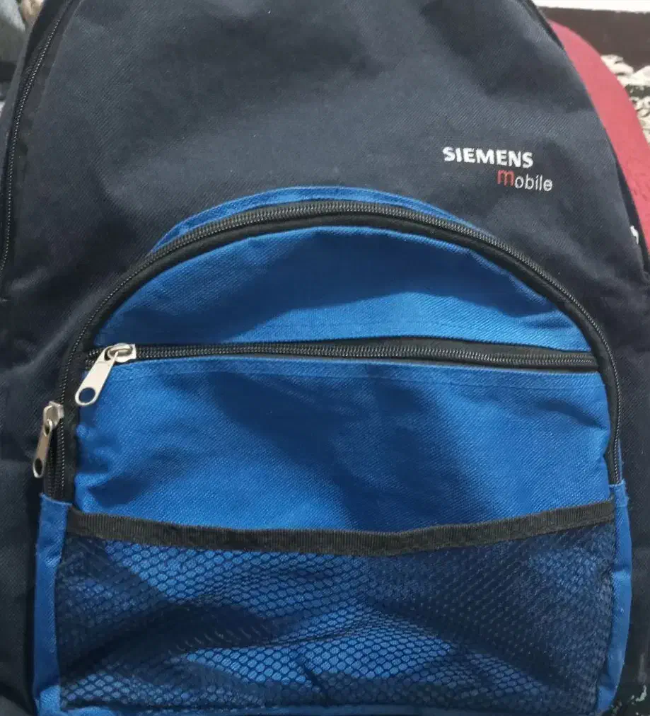 سیصدوپنجاتمن|کیف، کفش، کمربند|اهواز, شهرک برق|دیوار