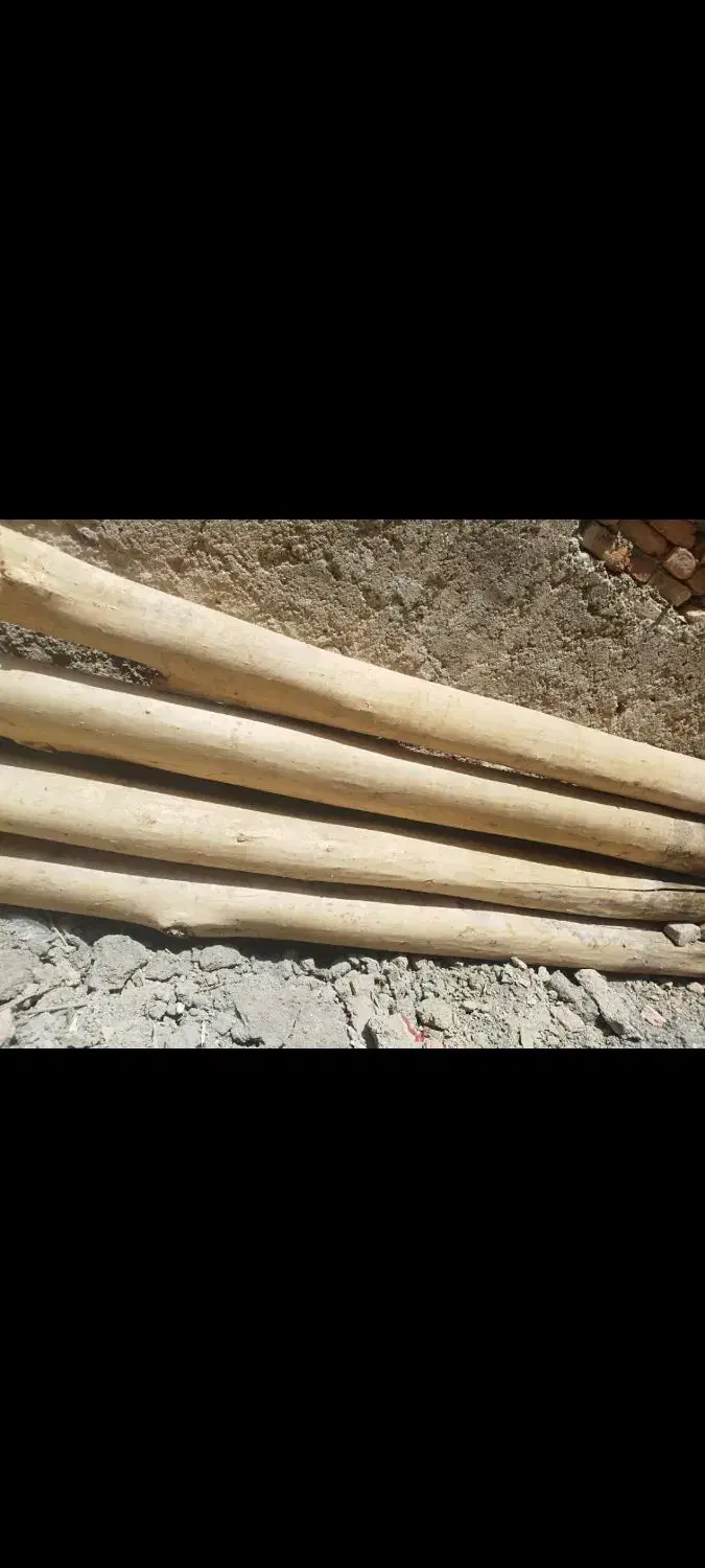 چوب سفید دال برای پوشش سقف بدون پوسیدگی|مصالح و تجهیزات ساختمان|مود, |دیوار