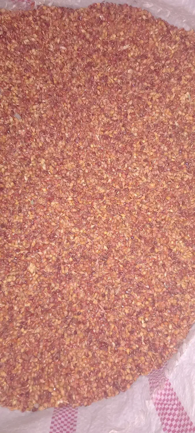 دان جارو|لوازم جانبی حیوانات|میانه, |دیوار