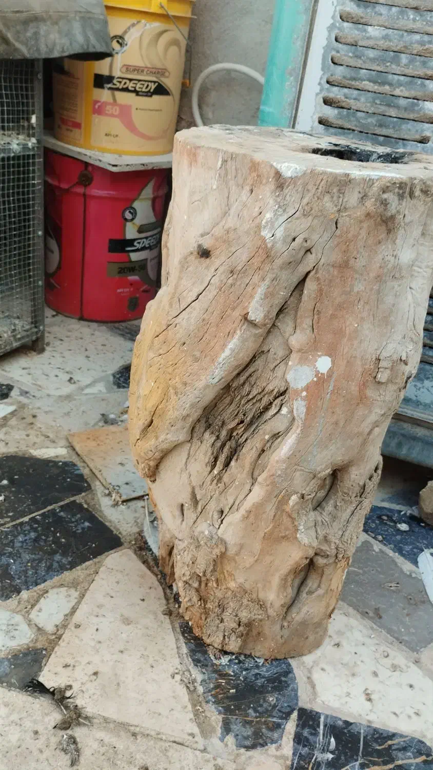 تنه درخت|صنایع دستی و سایر لوازم تزئینی|اصفهان, لیمجیر|دیوار