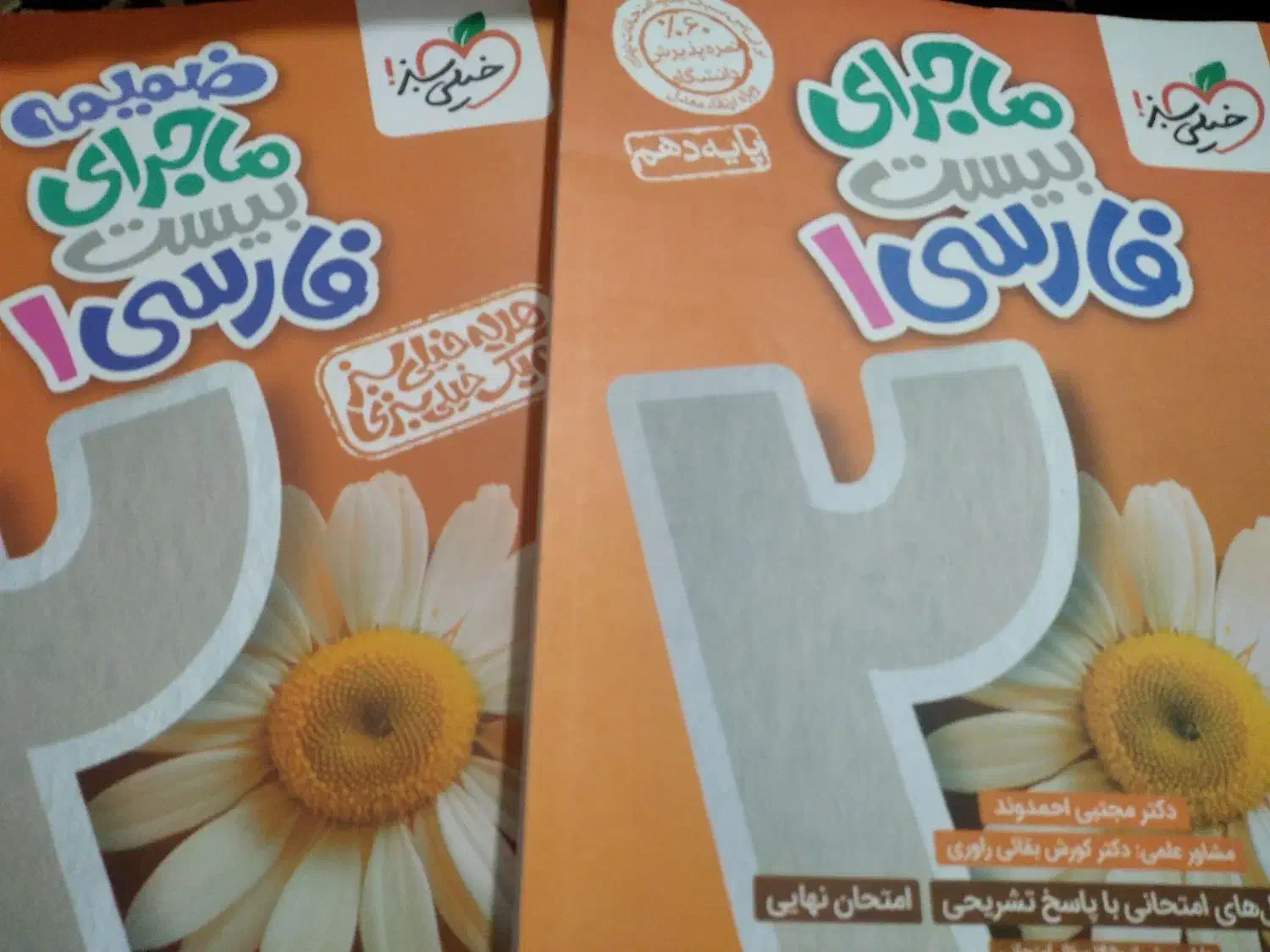 ماجرای بیست فارسی   (فارسی دهم)|کتاب و مجله آموزشی|قم, سید معصوم|دیوار