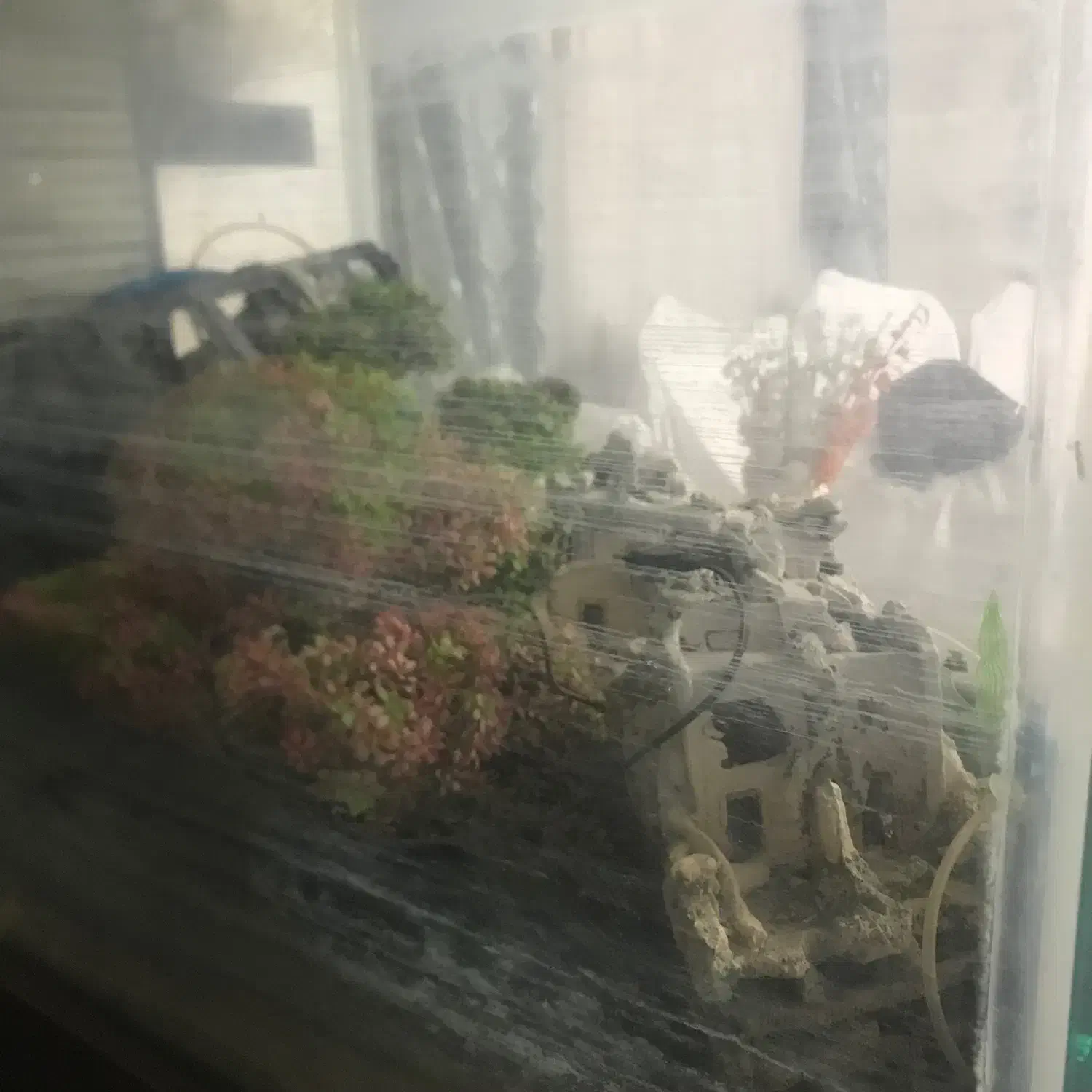 اکواریم با لوازم به ابعاد ۶۰۸۰۹۰|ماهی|تهران, حشمتیه|دیوار