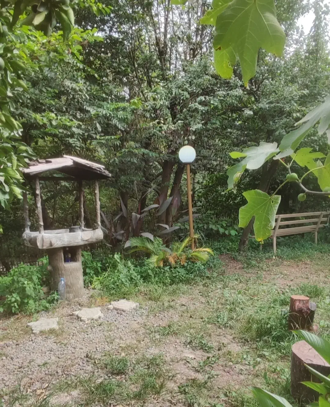 خونه مادربزرگه ( لوکیشن تاسیان و سوجان)|اجارهٔ کوتاه‌مدت ویلا و باغ|سیاهکل, |دیوار