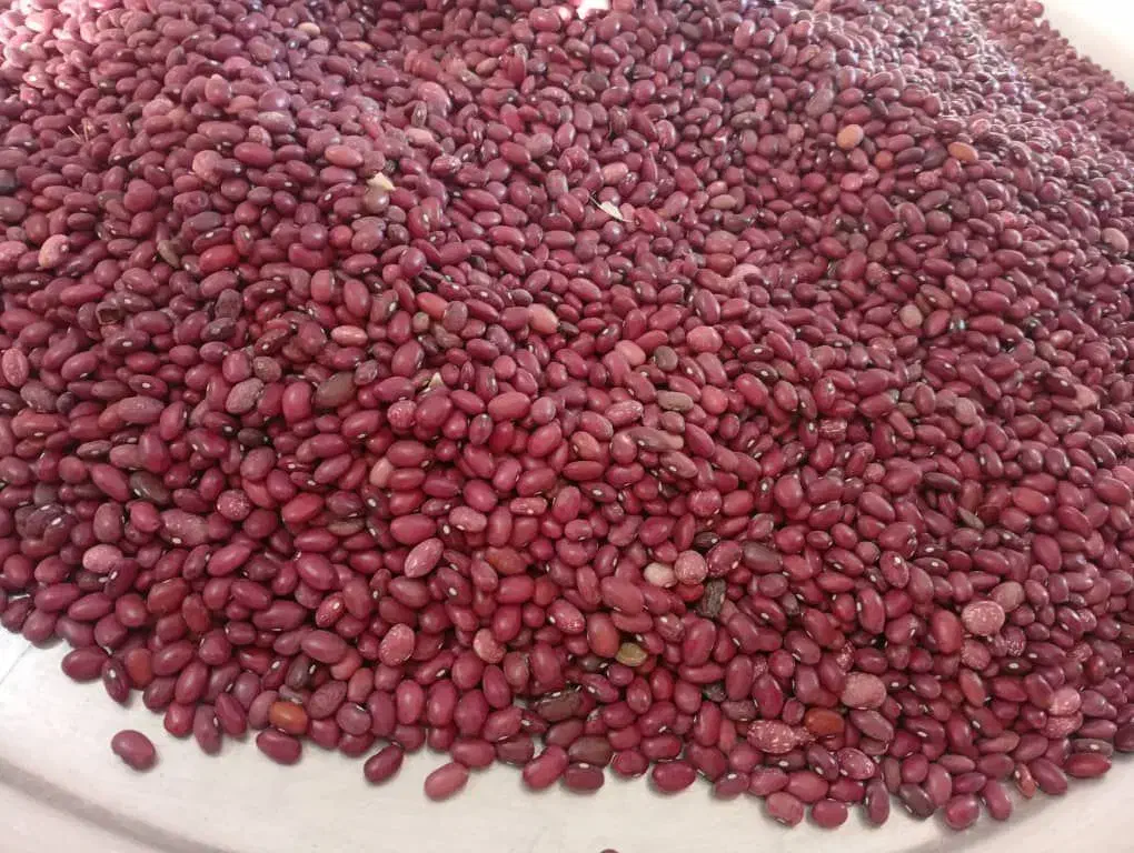 فروش لوبیا قرمز چی تی|خوردنی و آشامیدنی|مرودشت, ثبت احوال|دیوار