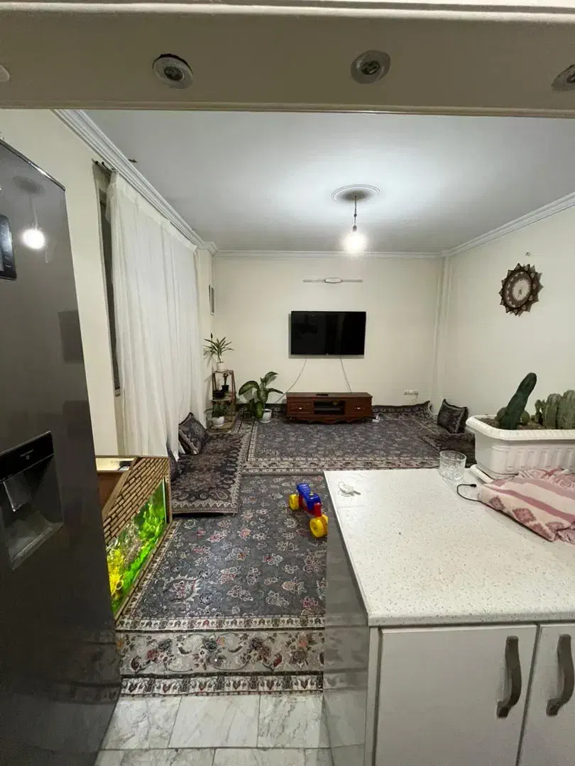 ۵۵متر/طبقه دوم/پارکینگ/سرمایه گزاری|فروش آپارتمان|تهران, شیوا|دیوار