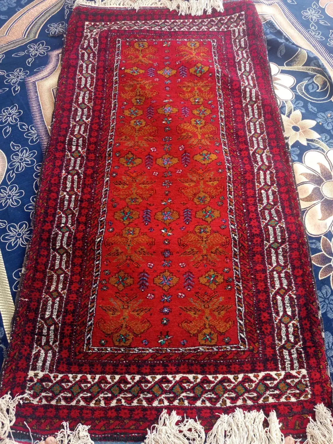 قالی بلوچی|فرش|نیشابور, هفده شهریور|دیوار