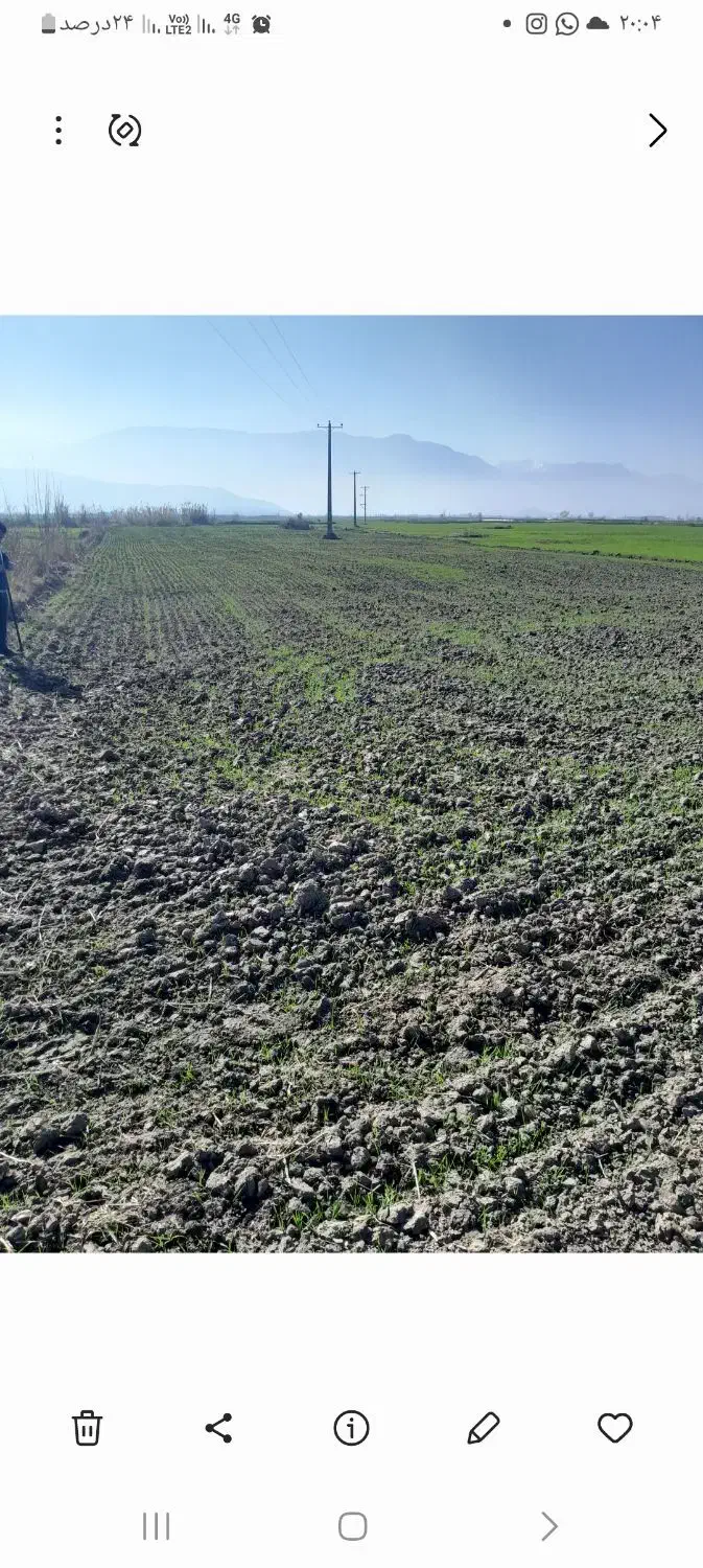 زمین کشاورزی|فروش زمین و ملک کلنگی|خان ببین, |دیوار