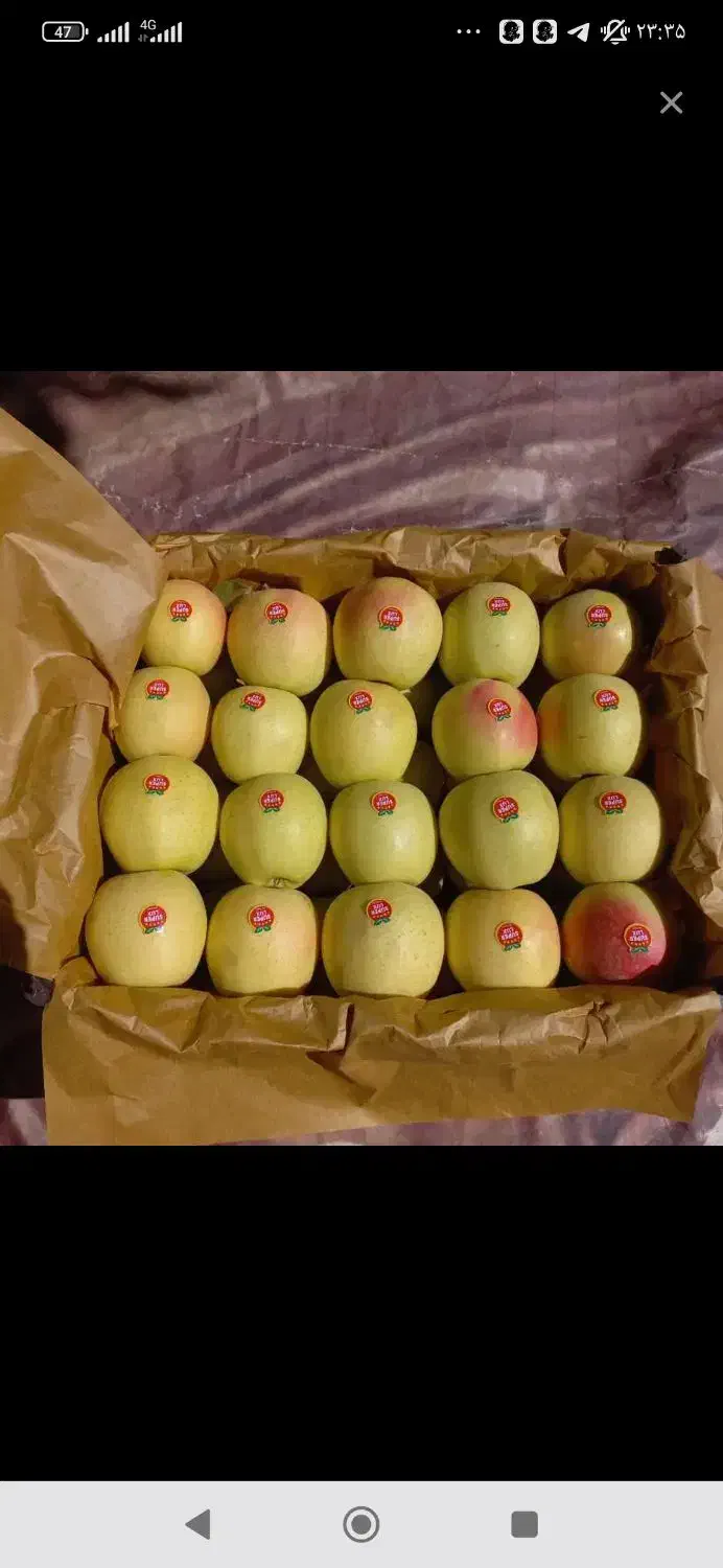 سیب کوهپایه|خوردنی و آشامیدنی|سیلوانه, |دیوار