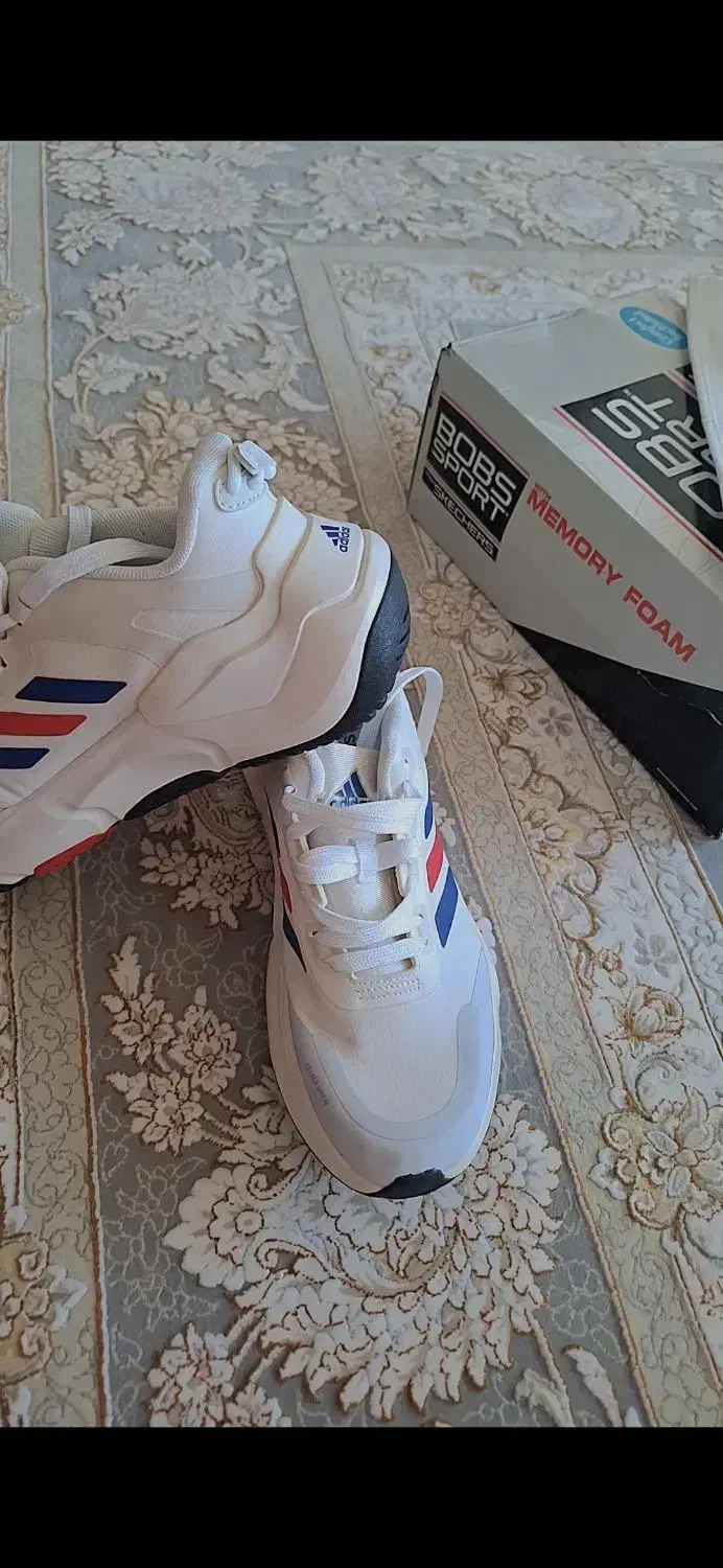 کفش ویتنام|کیف، کفش، کمربند|داراب, |دیوار