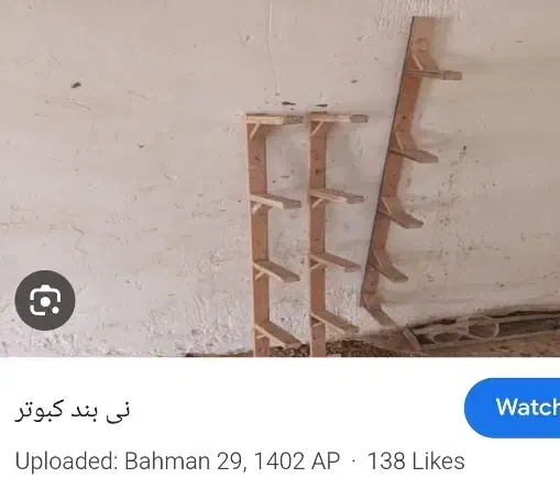کبوتر|پرنده|کازرون, |دیوار