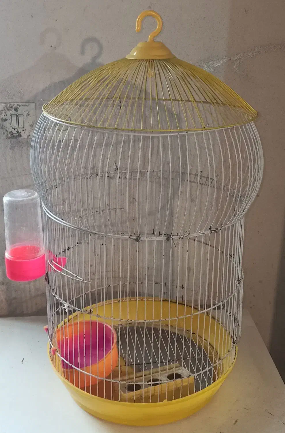 قفس پرنده|لوازم جانبی حیوانات|اردبیل, |دیوار