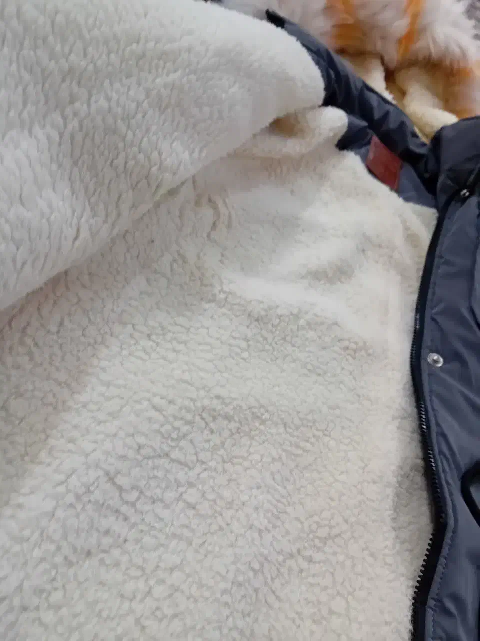 کاپشن کاملا نو|لباس|اراک, |دیوار