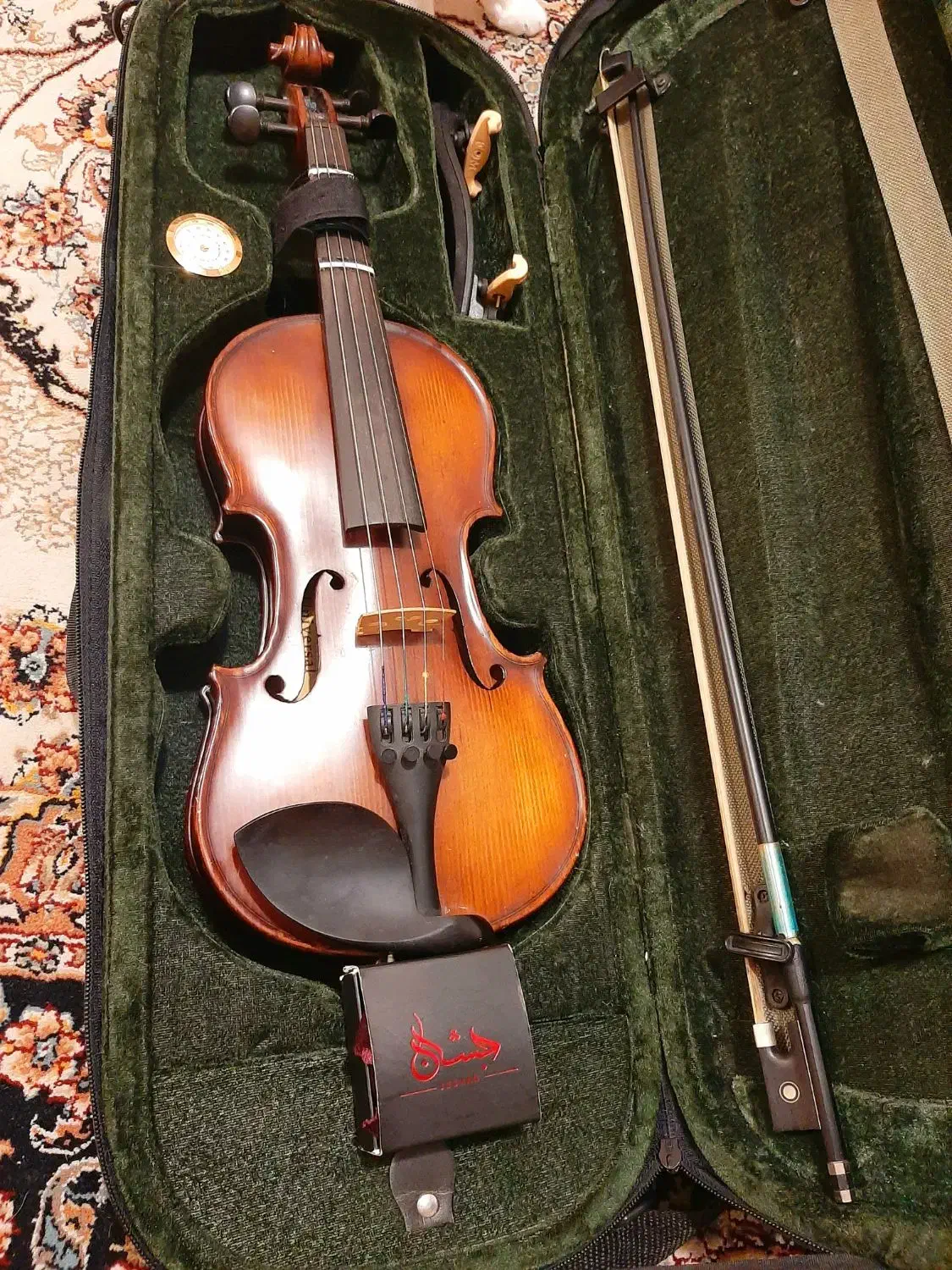 ویالون|ویولن|گرگان, |دیوار