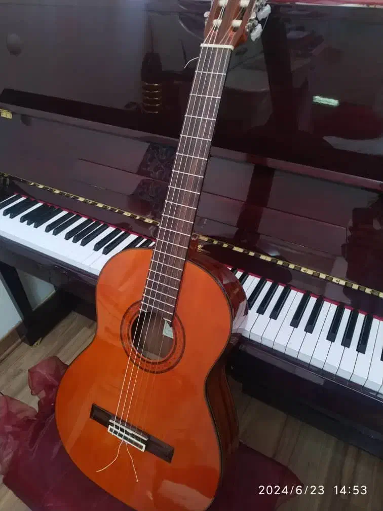 گیتار اریا|گیتار، بیس، امپلیفایر|پردیس, فاز ۱۱|دیوار