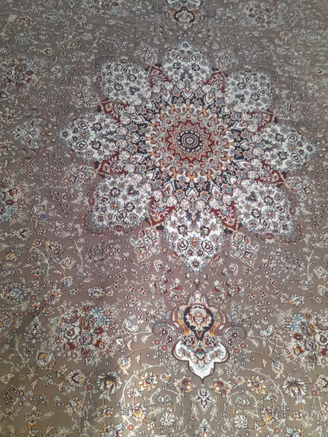 فرش ۱۲ متری بسیارسالم ونو و۶ عدد روپله ای کاملا نو|فرش|بروجرد, |دیوار