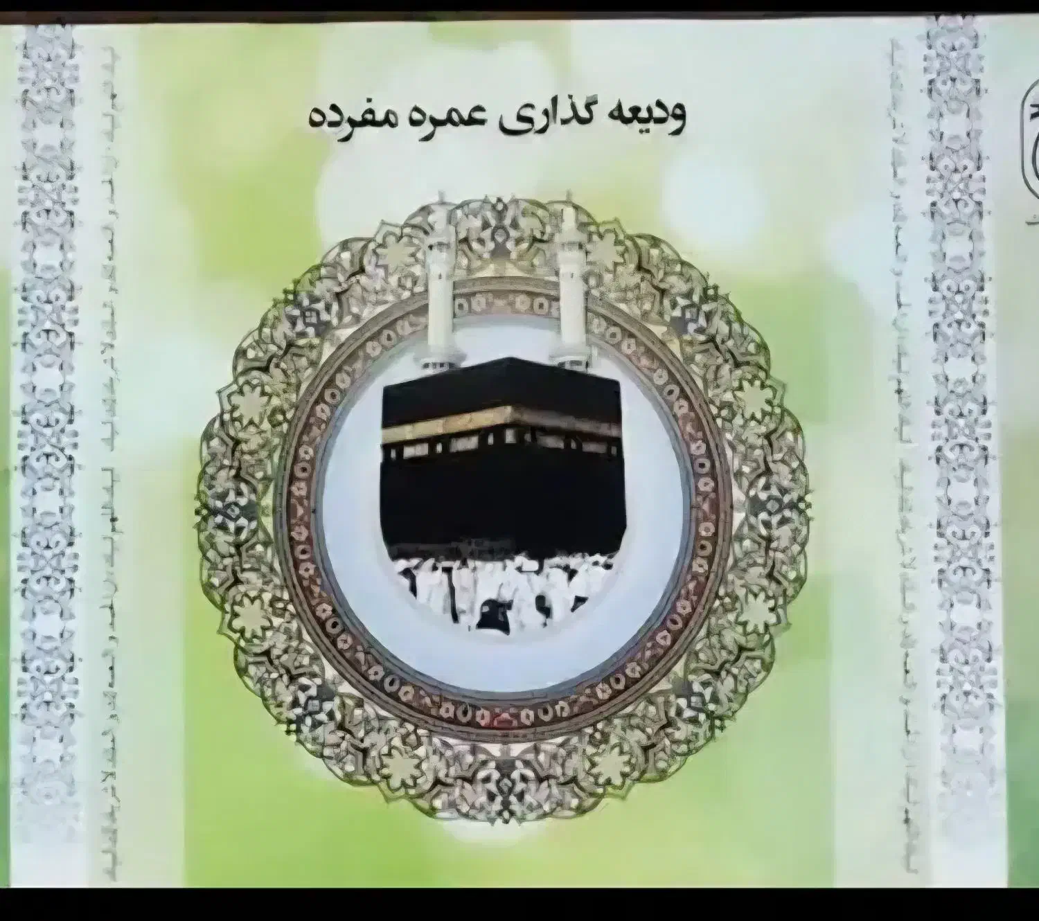 فروش فوری  فیش عمره|تور و چارتر|نوشهر, |دیوار