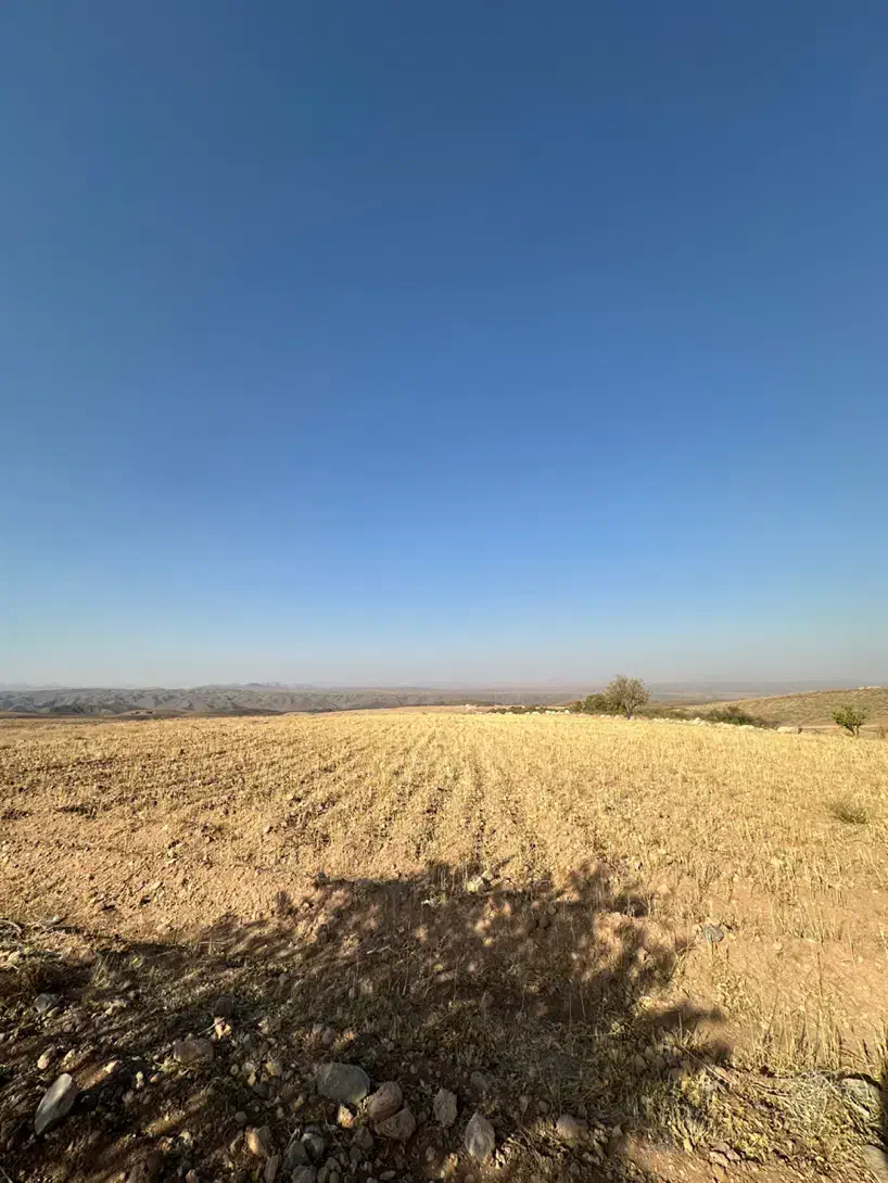 فروش زمین داری مجوز مرغ داری|فروش دفتر صنعتی، کشاورزی، تجاری|باغ بهادران, |دیوار