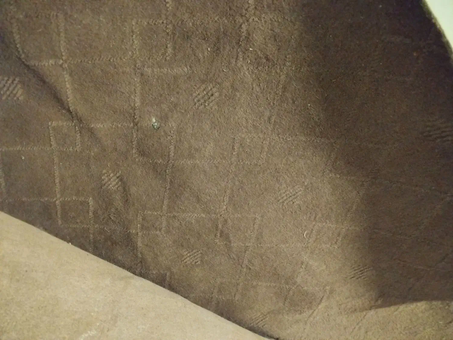 موکت 50 متری|موکت|گلبهار, شهر جدید گلبهار|دیوار