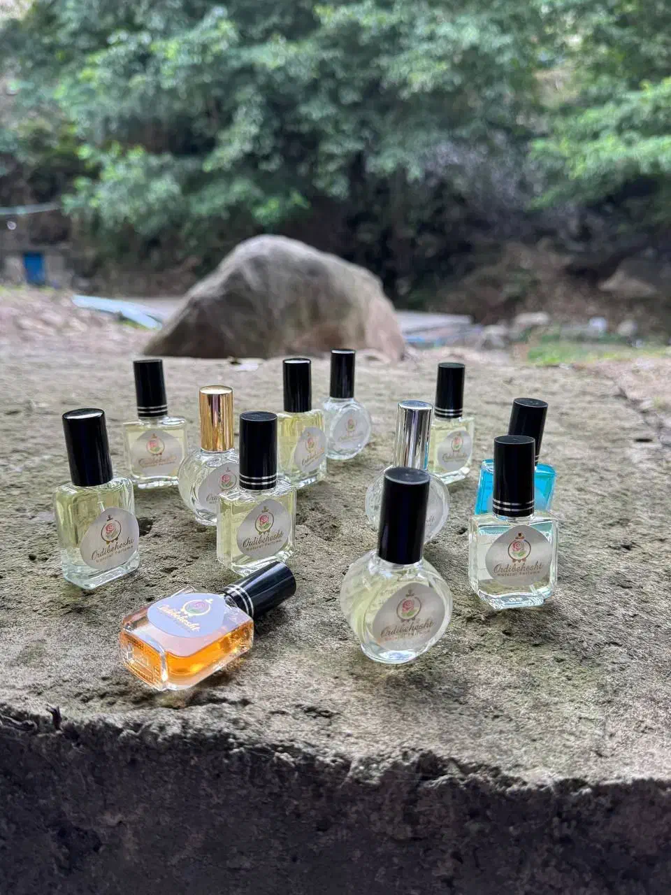 ادکلن زنانه و مردانه|آرایشی، بهداشتی، درمانی|رشت, منظریه|دیوار