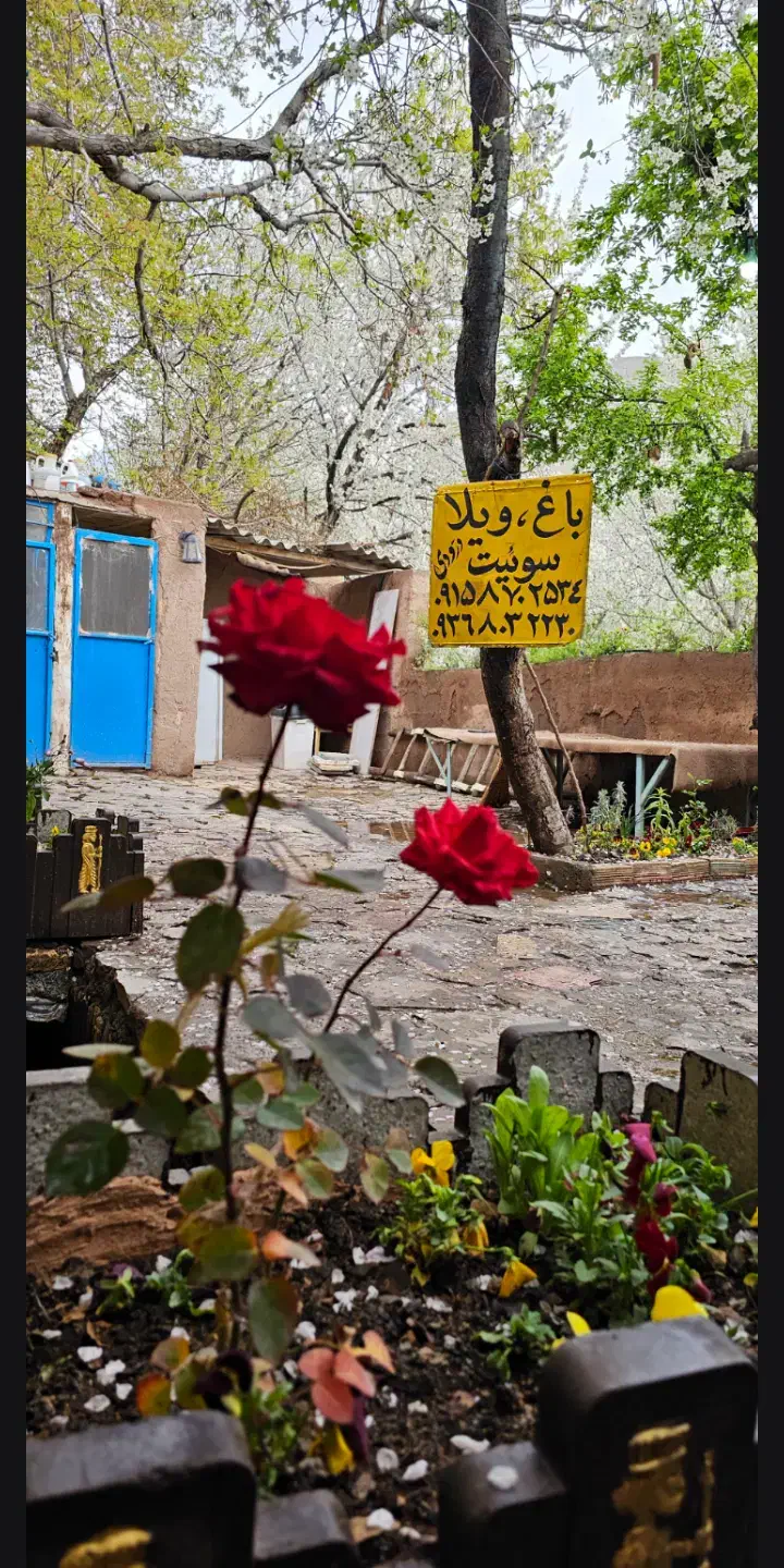 حراج|صوتی و تصویری|زبرخان, |دیوار