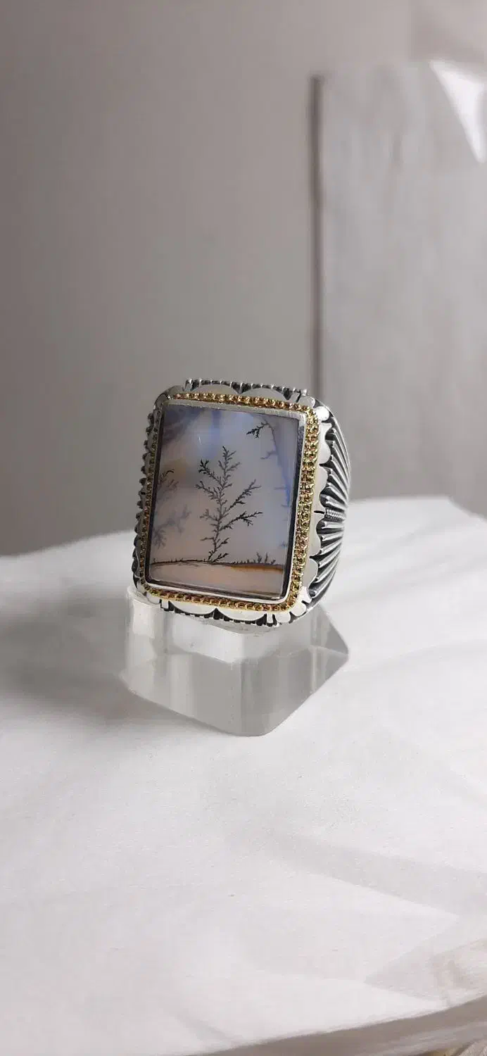 انگشترهای تمام دست استاد نوروزی|جواهرات|زنجان, |دیوار