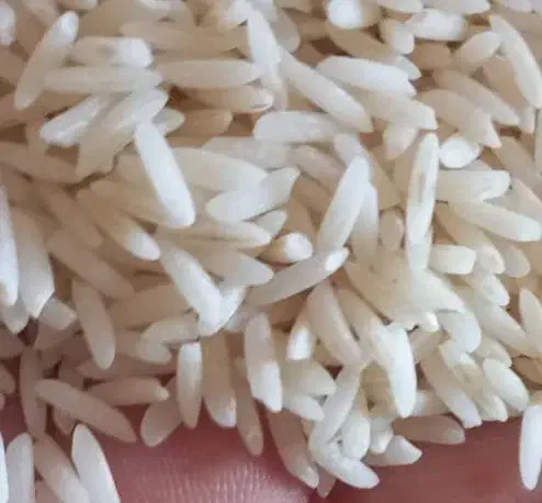 برنج درجه یک شمال|خوردنی و آشامیدنی|لنجان, |دیوار