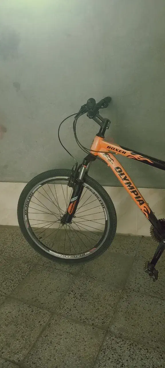 دوچرخه|دوچرخه، اسکیت، اسکوتر|بجنورد, |دیوار