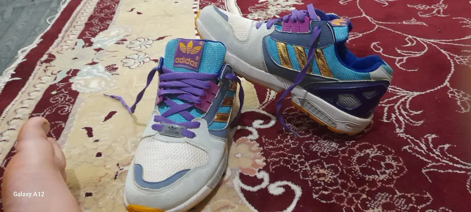 کفش|کیف، کفش، کمربند|مشگین شهر, |دیوار