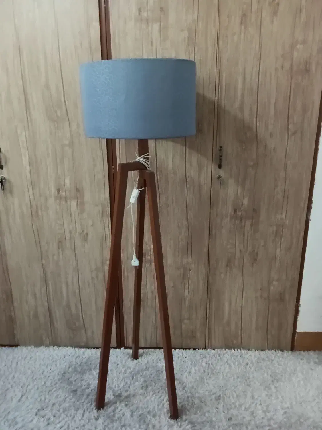 آباژور سالم|چراغ خواب و آباژور|شیراز, دشت چنار|دیوار