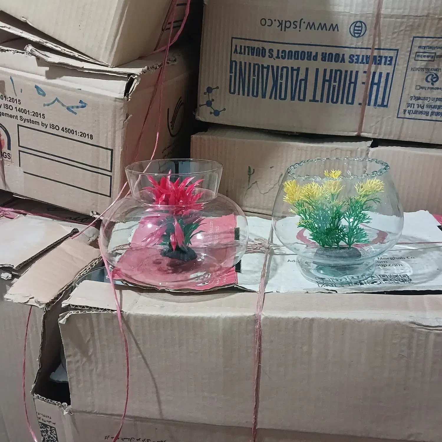 تنگ ماهی|ماهی|محمدشهر, یزدیها|دیوار