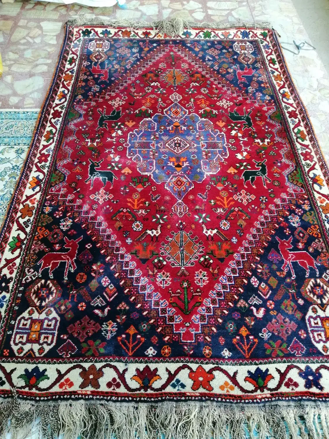 فرش دست بافت اصیل|فرش|مرودشت, ثبت احوال|دیوار