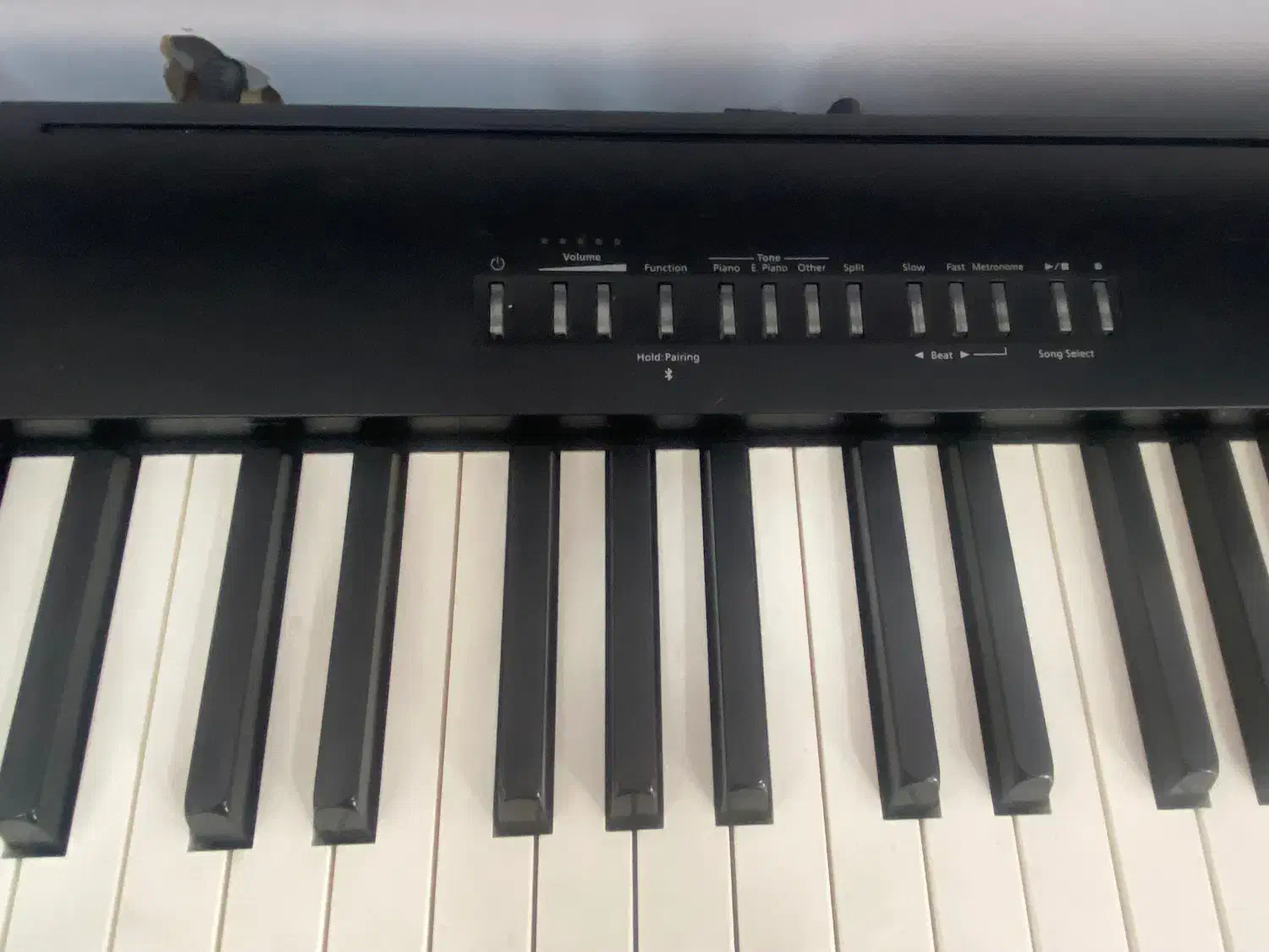 پیانو دیجیتال برند رولند|پیانو، کیبورد، آکاردئون|بوشهر, |دیوار