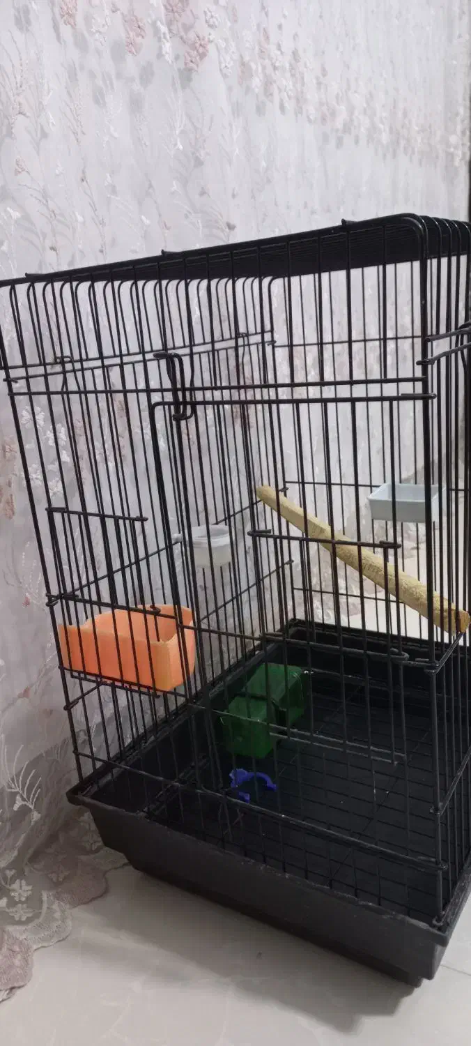 فروشی|لوازم جانبی حیوانات|سرپل ذهاب, |دیوار