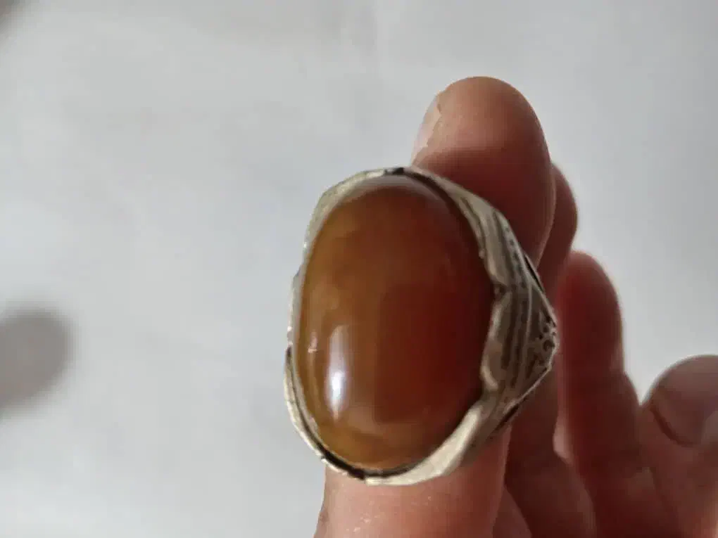 فروشی یامعاوضه هم دارم باپرنده|بدلیجات|برازجان, |دیوار