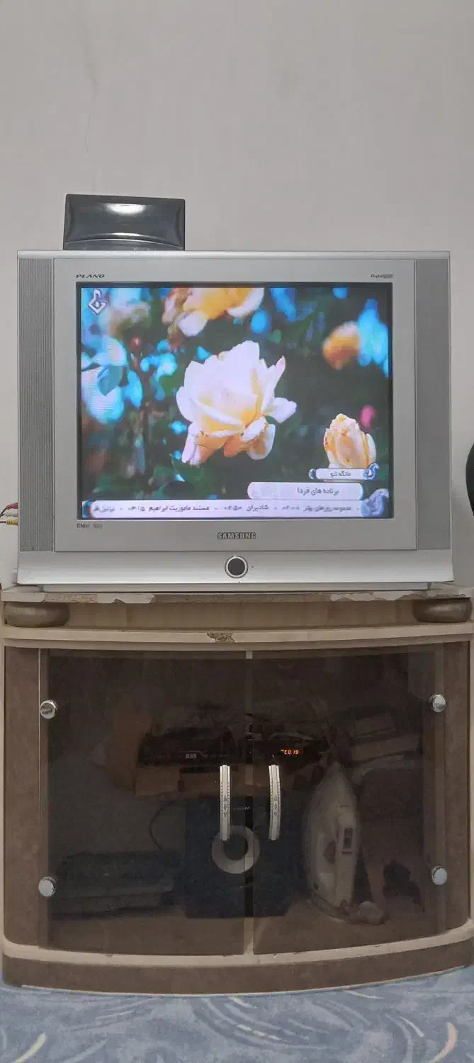 تلویزیون|تلویزیون و پروژکتور|ایلام, |دیوار