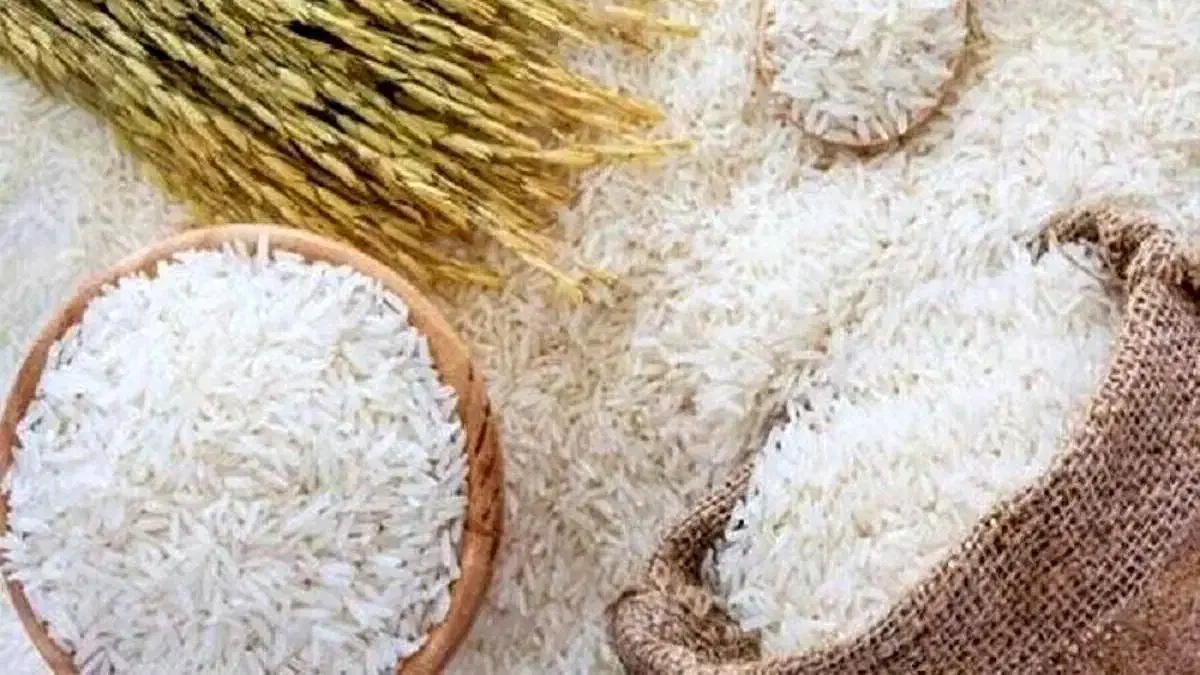 اقساط برنج ایرانی|خوردنی و آشامیدنی|کاشان, زیدی|دیوار