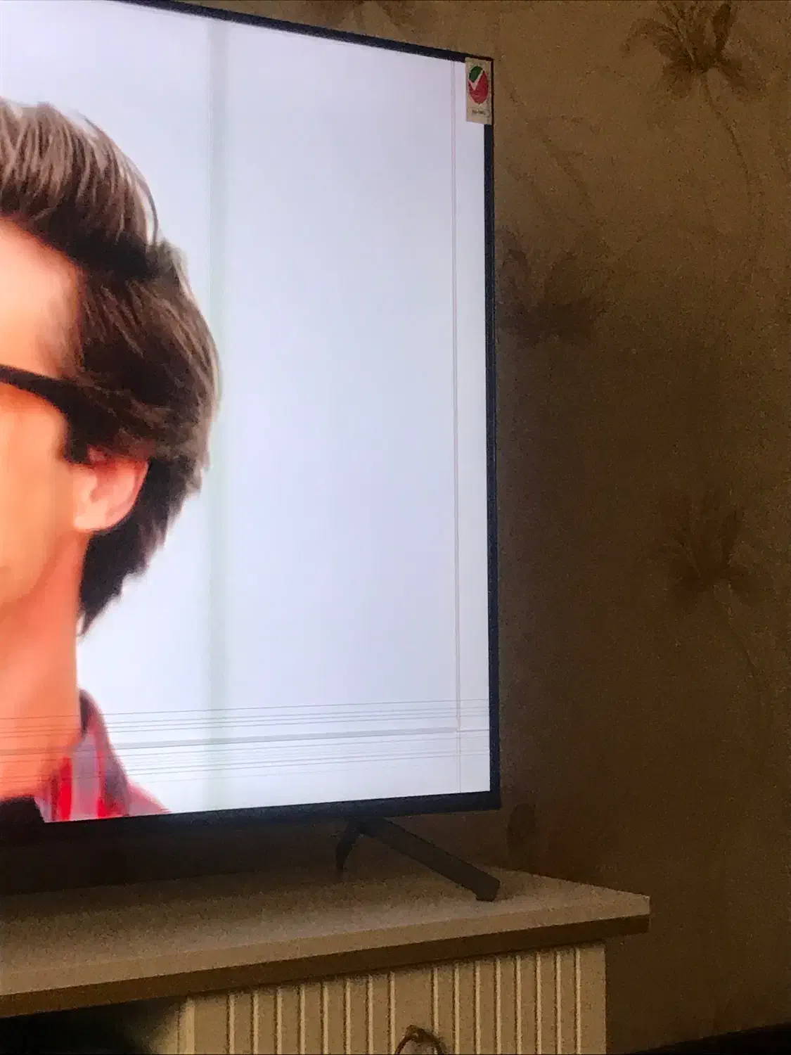 فروش تلویزیون پاناسونیک|تلویزیون و پروژکتور|فردیس, شهرک ناز|دیوار