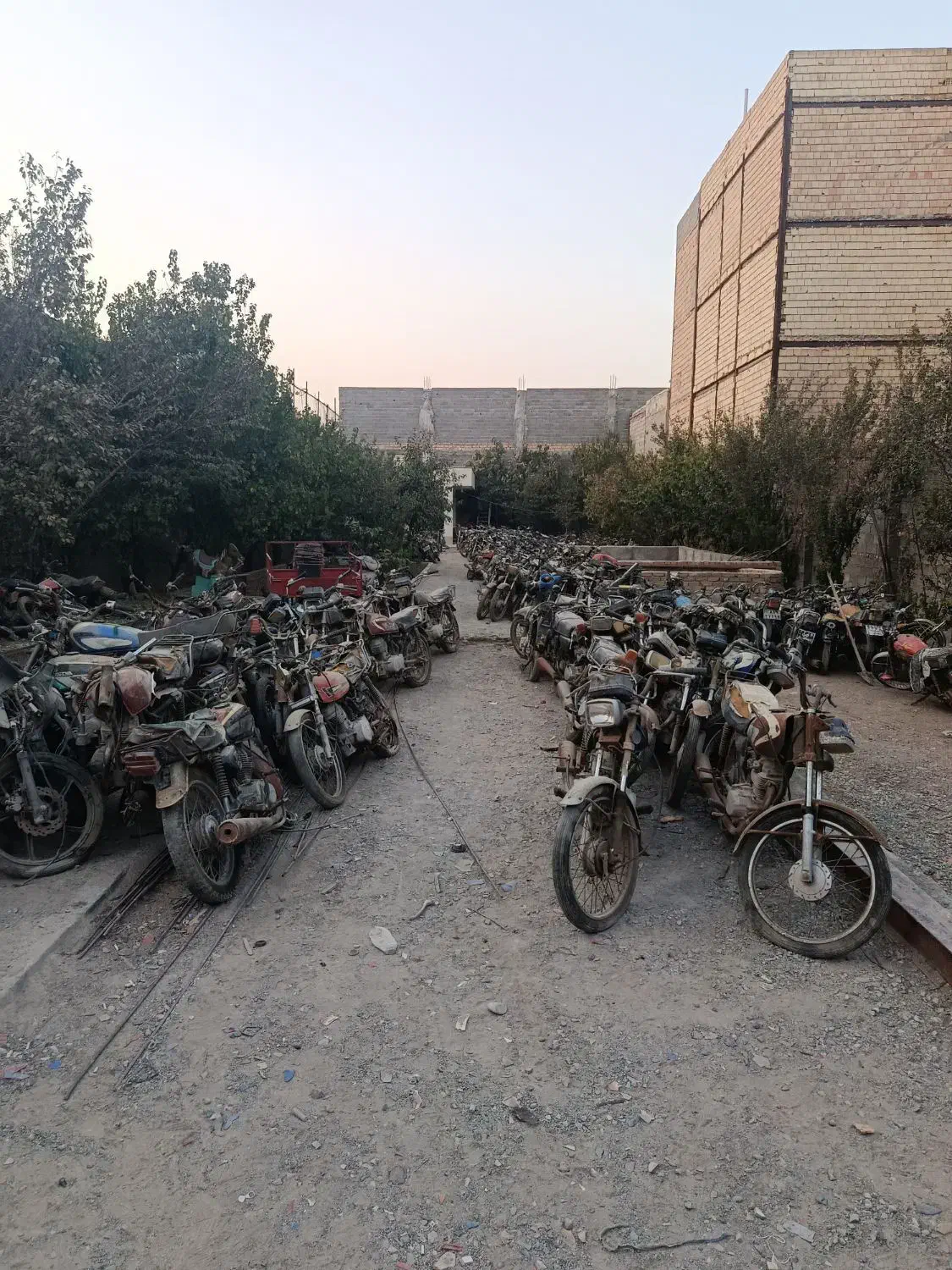 فروش عمده و تک موتور مزایده ای Honda|موتورسیکلت|هشتگرد, ینگی امام|دیوار