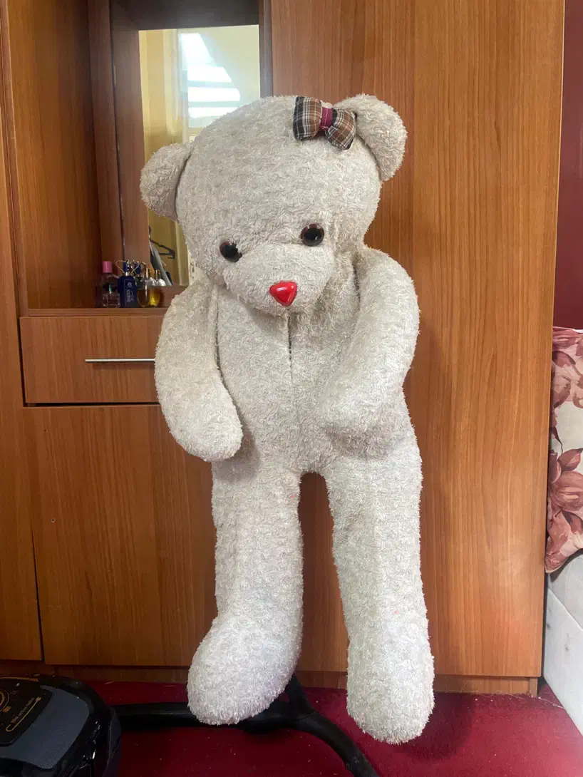 عروسک خرس|اسباببازی|شیراز, بعثت|دیوار