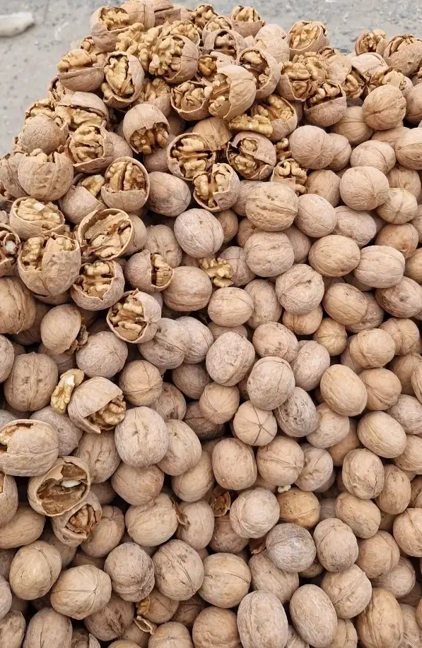 گردو|خوردنی و آشامیدنی|تهران, اتابک|دیوار