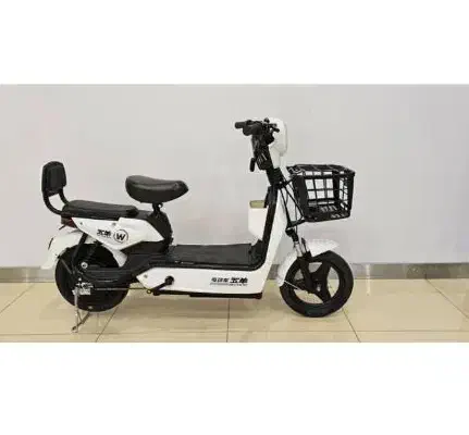 موتور برقی پاکشتی دونفره مارک E.BIKE قسطی بخر|دوچرخه، اسکیت، اسکوتر|اصفهان, بوستان ناژوان|دیوار