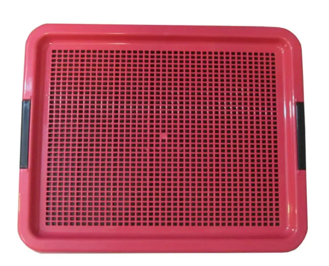 لوازم جانبی سگ|لوازم جانبی حیوانات|بم, |دیوار